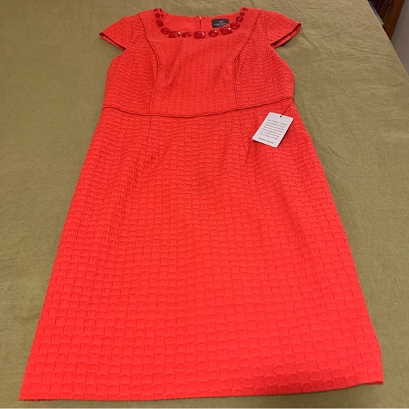 Adrianna Papell Dress - Picture 2 of 4